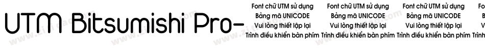 UTM Bitsumishi Pro字体转换